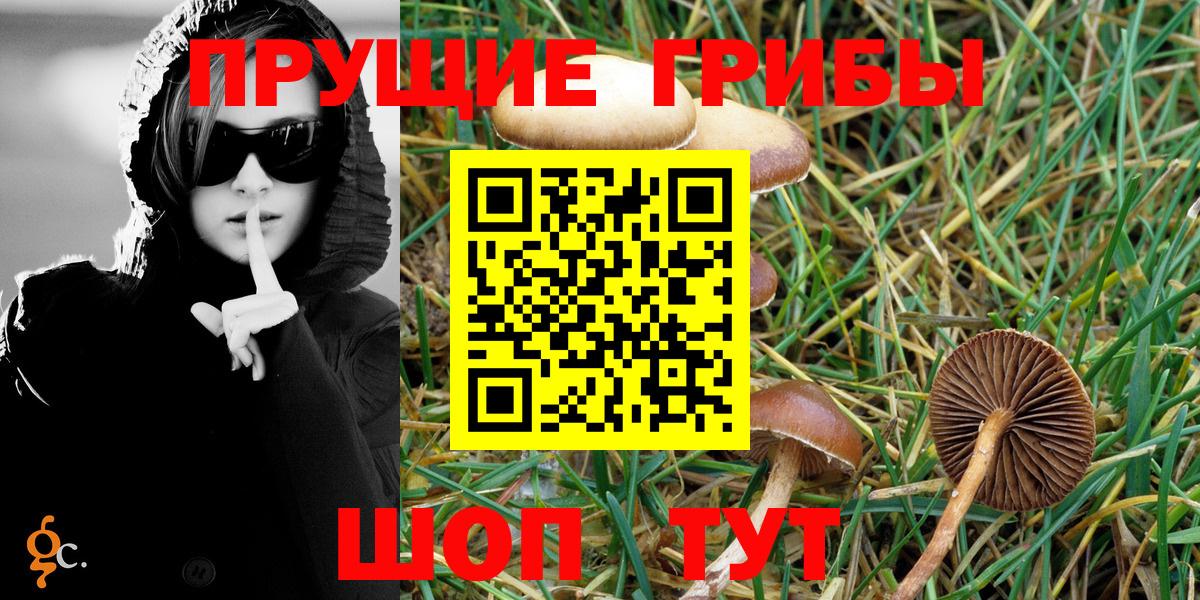Галлюциногенные грибы Psilocybe  Галлюциногенные грибы мицелий  Вход с VPN  Выкса 
